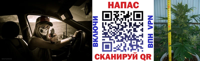 Каннабис конопля blacksprut ссылка Серов где можно купить